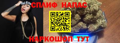прущие грибы Аргун