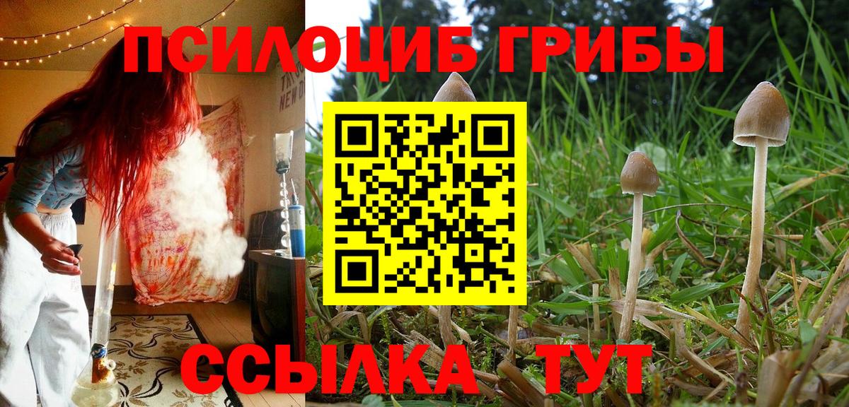 Галлюциногенные грибы MAGIC MUSHROOMS  Галлюциногенные грибы прущие грибы  Вход с VPN  Бахчисарай 